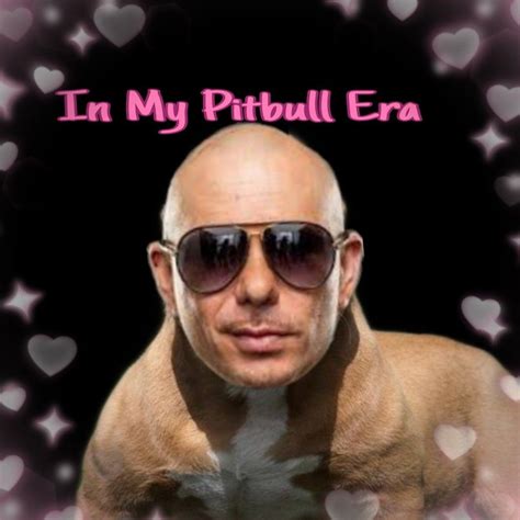 pitbull memes singer